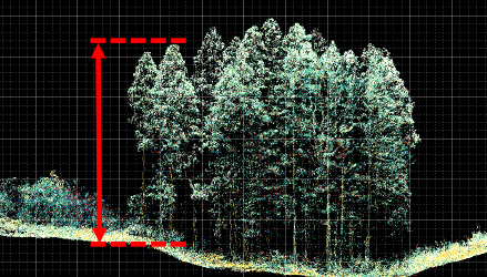 表層データと標高データの差分による樹高計測