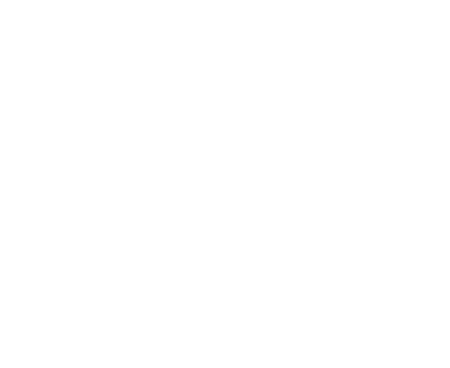 ビッグプロジェクトへの参画