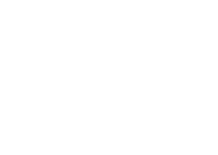 ビッグプロジェクトへの参画