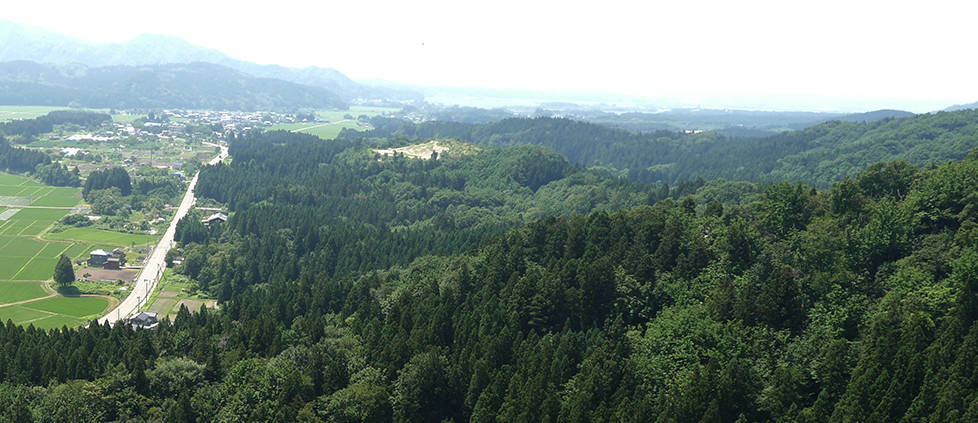 保安林解除(国有林・民有地)