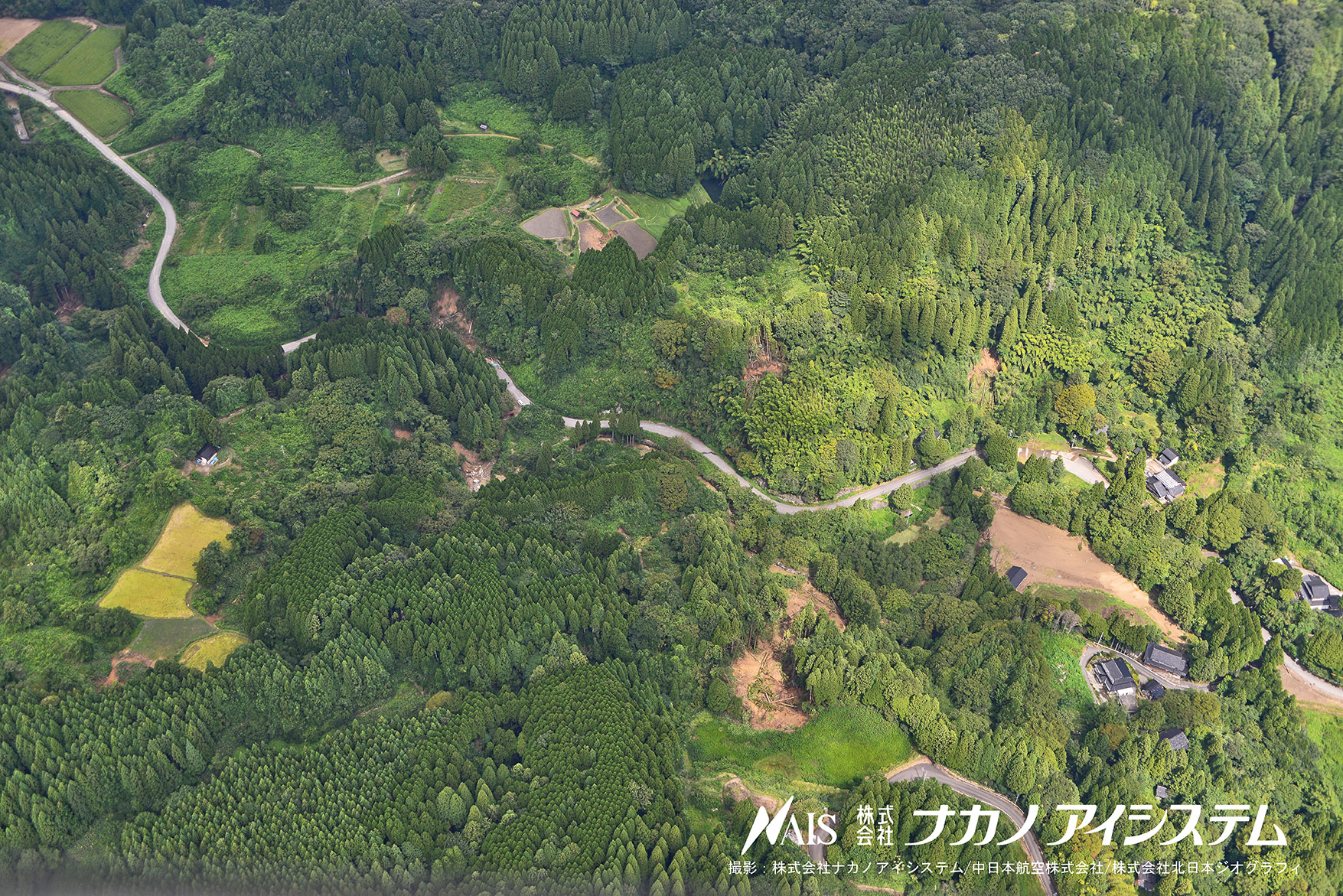 5303.jpg